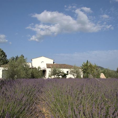 Villa Otilia-Bed And Breakfast-Chambres D'Hotes En Provence Rians  Exteriér fotografie