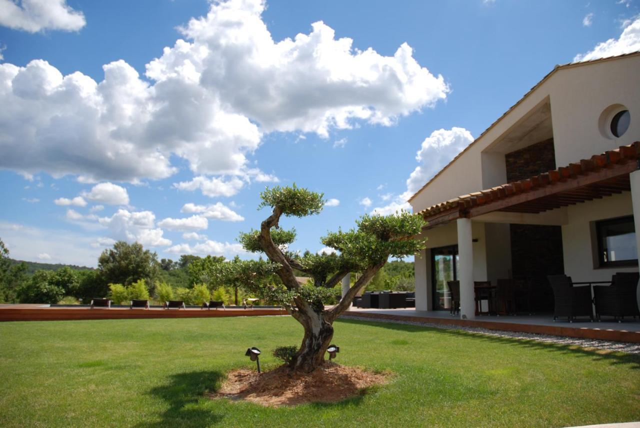Villa Otilia-Bed And Breakfast-Chambres D'Hotes En Provence Rians  Exteriér fotografie