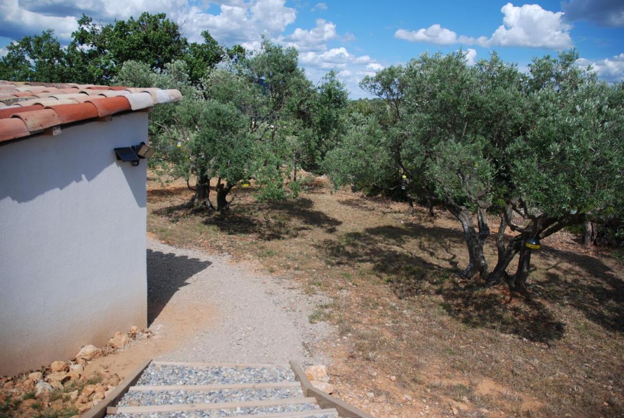 Villa Otilia-Bed And Breakfast-Chambres D'Hotes En Provence Rians  Exteriér fotografie